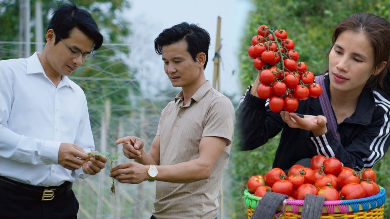 Things are gradually getting better. Tu Phan is very happy. What plans do Thu and Toan have together