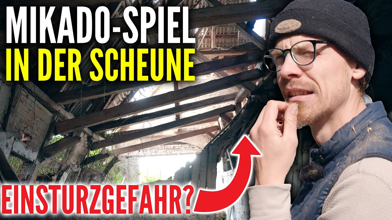 Zwischen Mut & Wahnsinn: Balken ziehen auf eigene Gefahr!