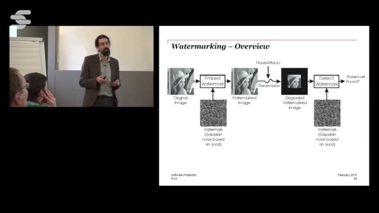 Software protection - Bart De Win and Nessim Kisserli