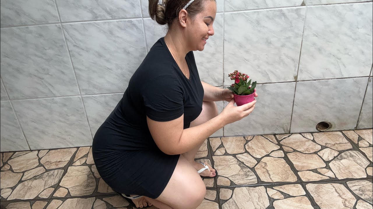 ROTINA DE CUIDADOS COM AS PLANTAS 