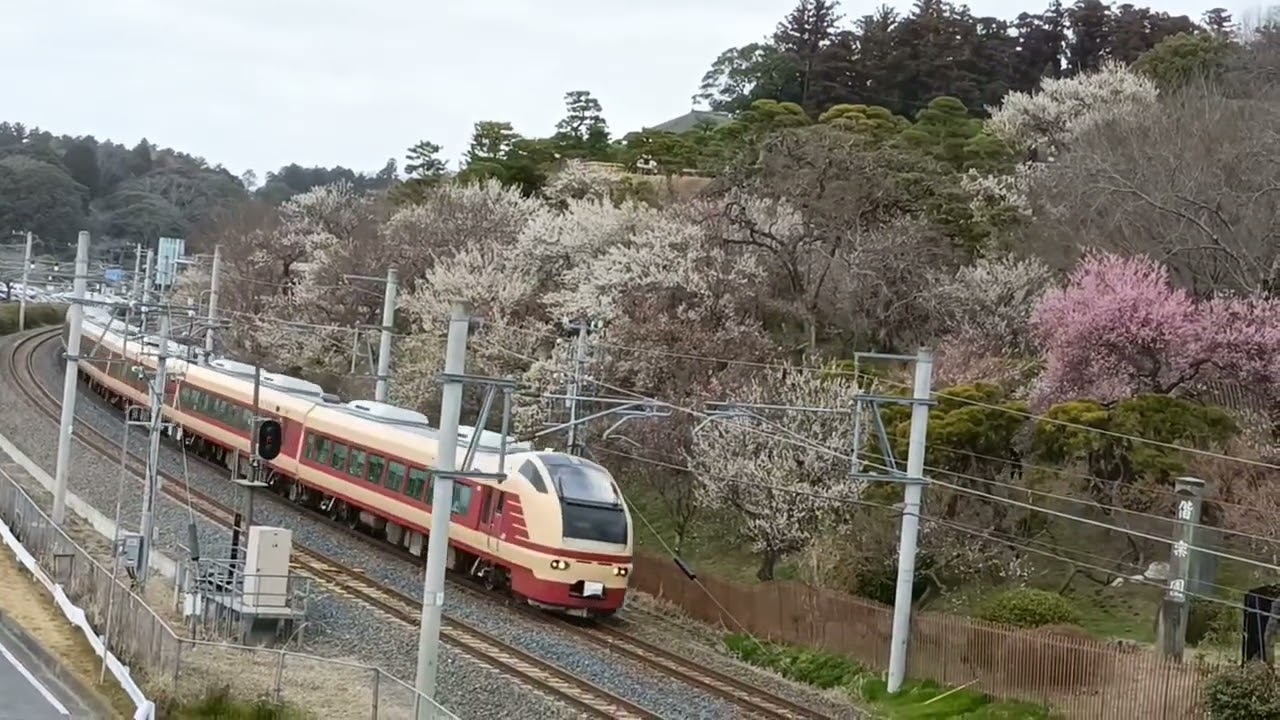 2026/02/23_特急 水戸偕楽園高尾号 運転（偕楽園駅前）