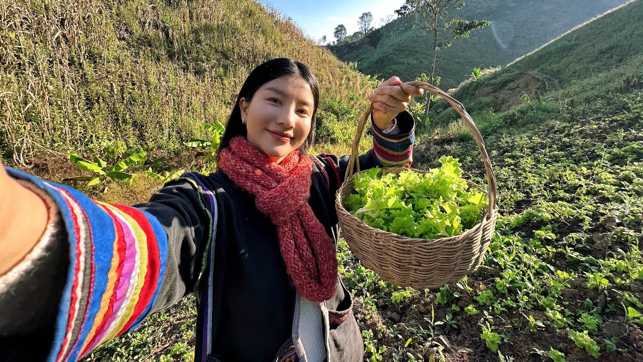 ชีวิตวิถีบนดอย!