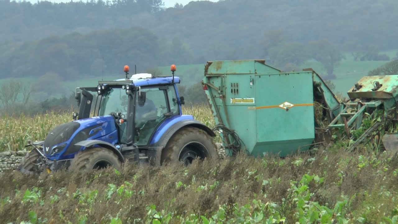 Pulling Sugar Beet, Pair lovely Valtra tractors with Armor Salmon beet lifters 13/10/2025