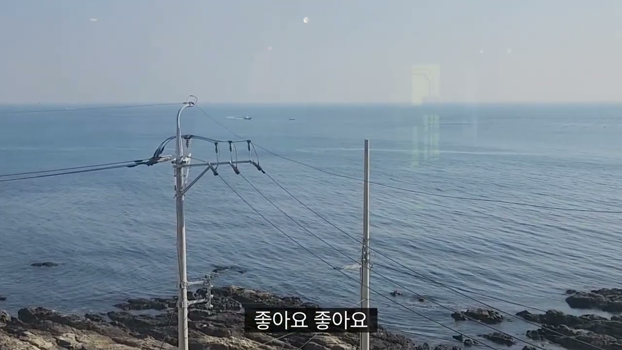 송정도 외국사람 많네요