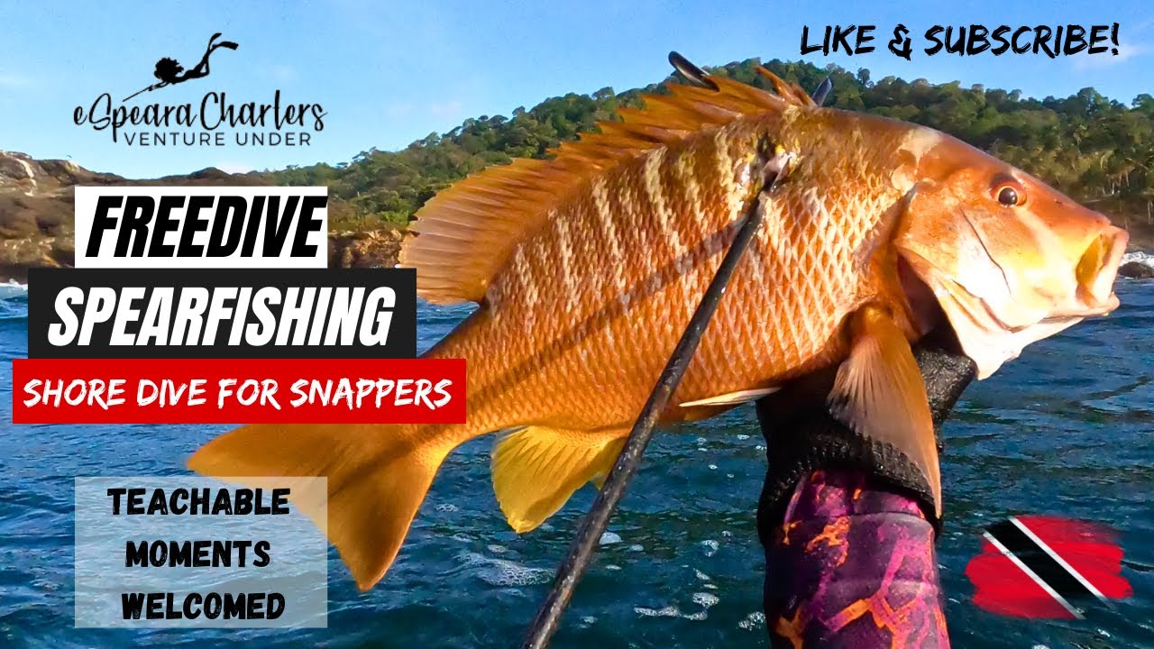 Freedive Spearfishing Cliff Dive for Snappers! Lessons learnt!