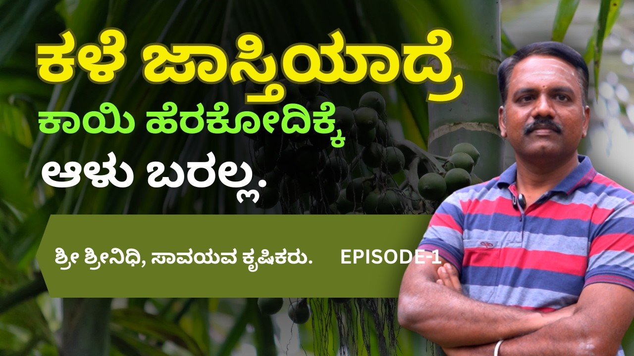 Zero cultivation ಅನ್ಕೊಂಡು ಉಳುಮೆ ಮಾಡ್ದೆ ನನ್ನ ತೆಂಗಿನ ಮರಗಳು ಬಿದ್ದೋದ್ವು