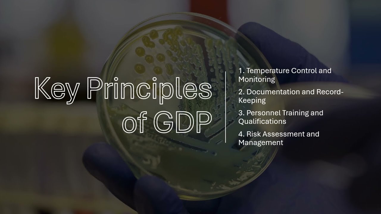 📦 Good Distribution Practice (GDP) | Ensuring Compliance in the UK