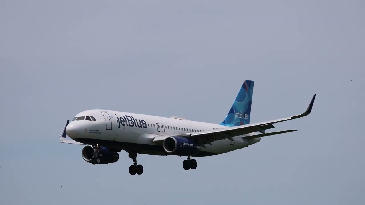 End of Summer spotting at the PGIA