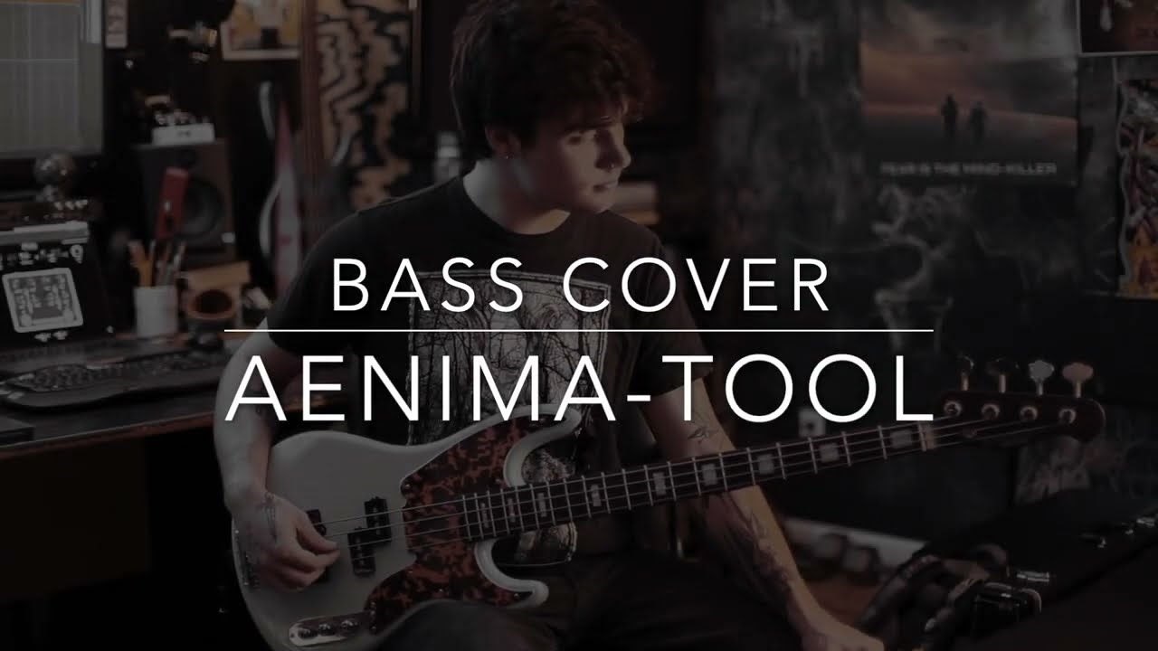 Aenima Bass Cover - TOOL