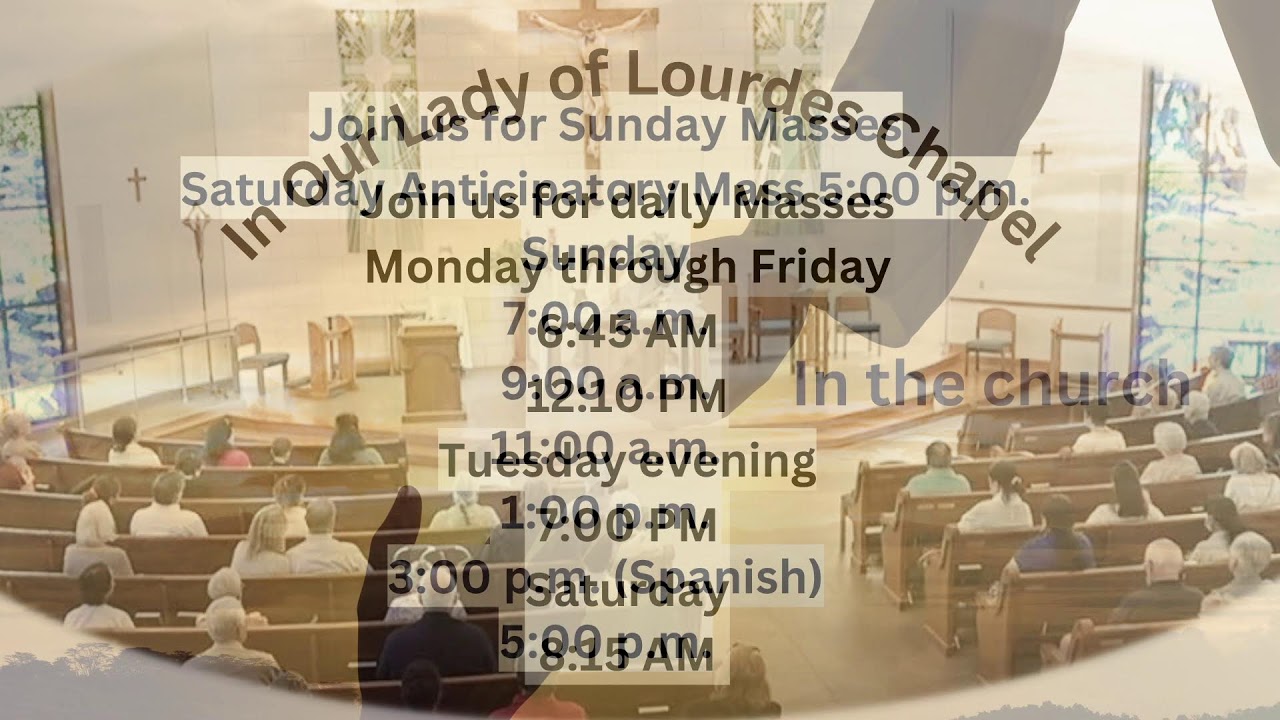 2nd Sunday in Ordinary Time. St. Vincent de Paul Catholic Church, Houston, 1-18-26 11:00am