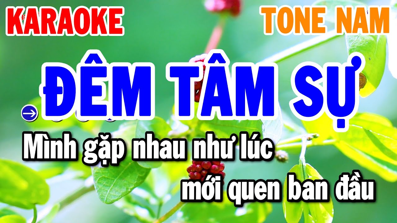 Đêm Tâm Sự Karaoke Tone Nam Nhạc Sống Bolero Hay Nhất 2026 | Thanh Hải Organ