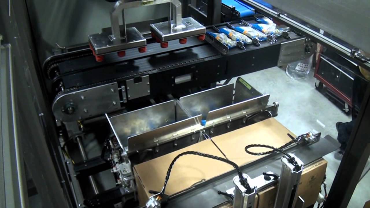 20228 BluePrint Automation (BPA) Horizontal & Vertical Case Packer (Model: Swing Machine)