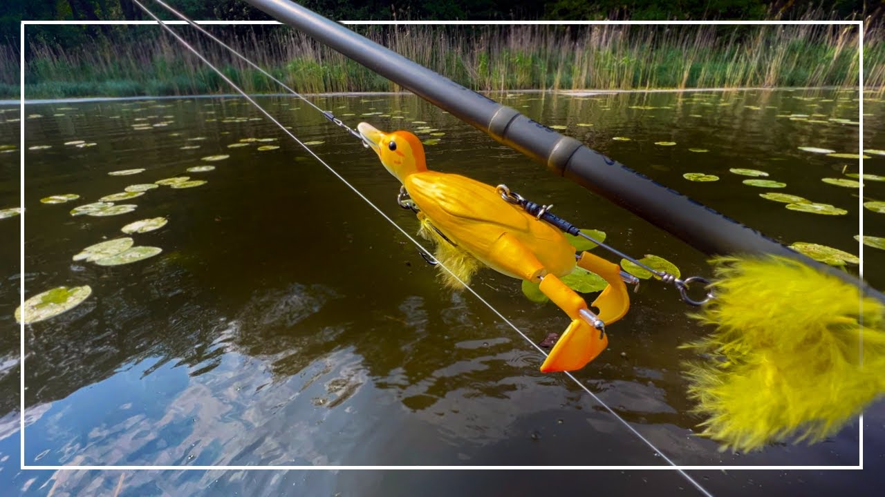 POTĘŻNY ATAK W KACZKĘ | TOPWATER CHALLENGE | S12Ep21