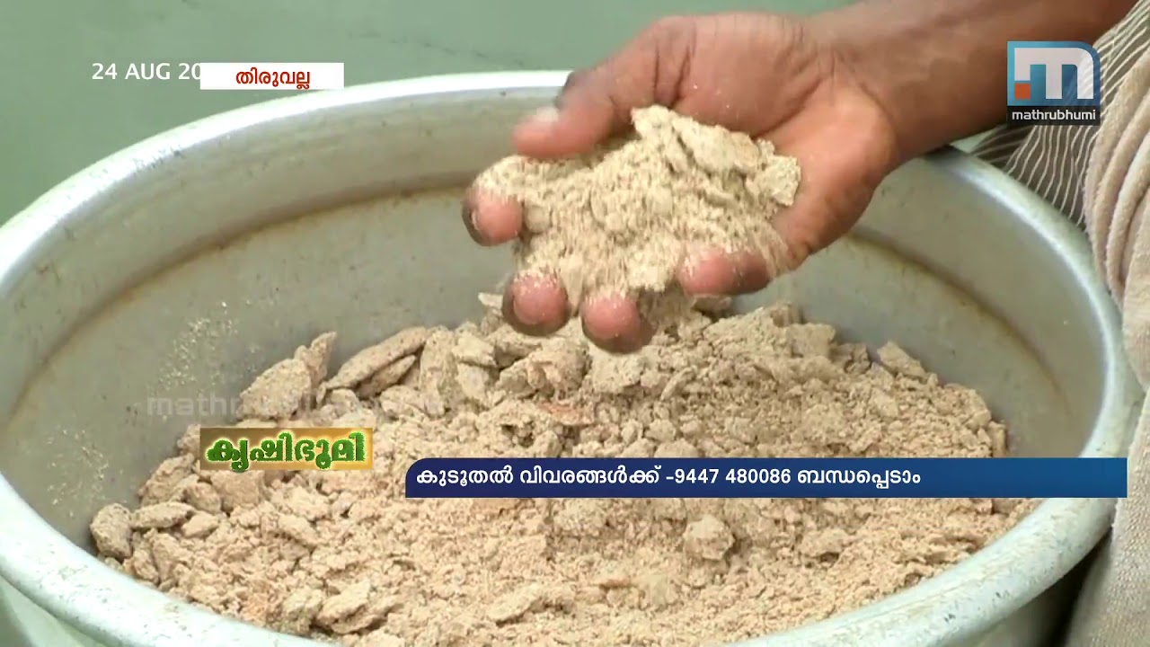 Fresh water lobster farming a hit in upper Kuttanad | Mathrubhumi News