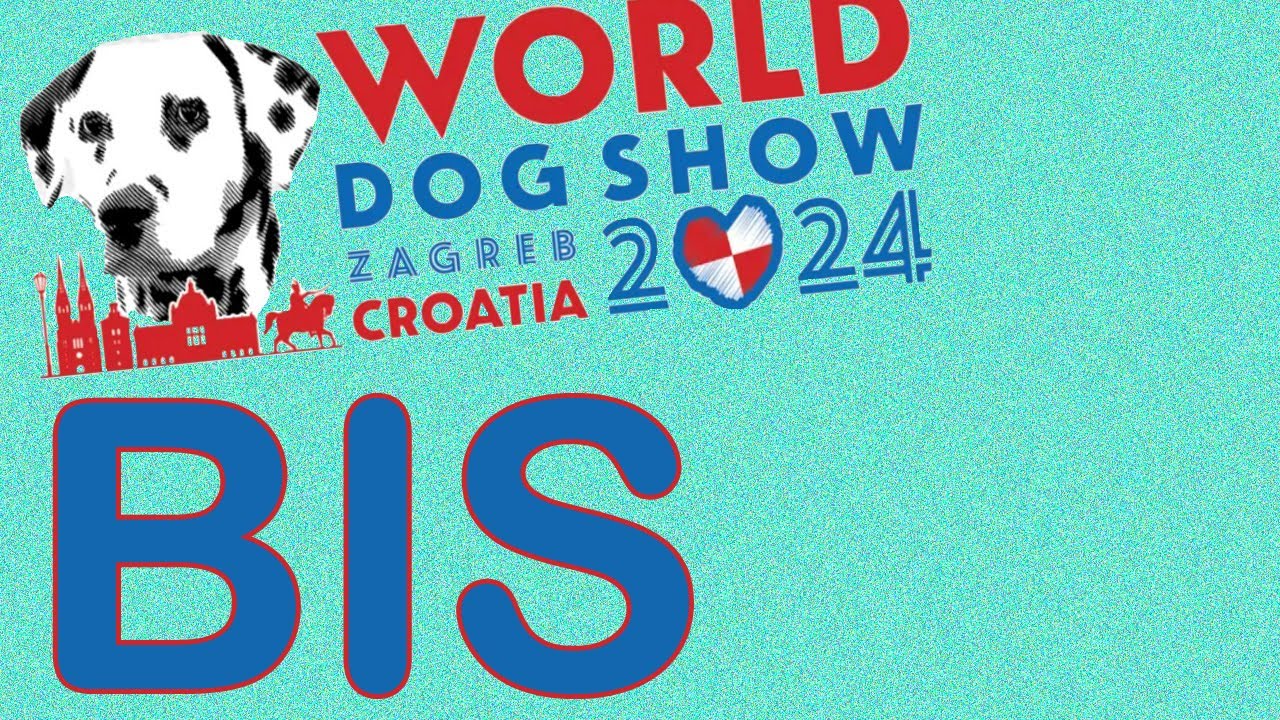 BIS WDS Zagreb 2024