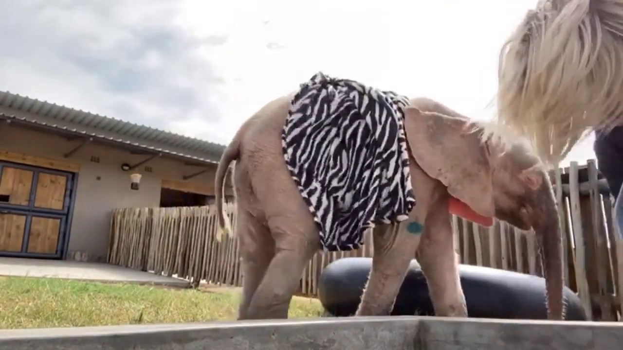 Adine & Khanyisa clean the nursery trough!