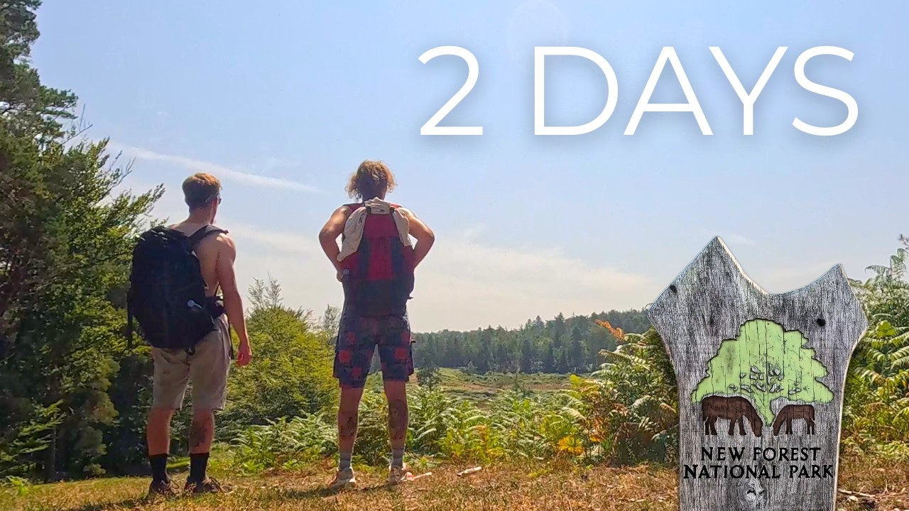 50km Across The New Forest - 2 Day Hike