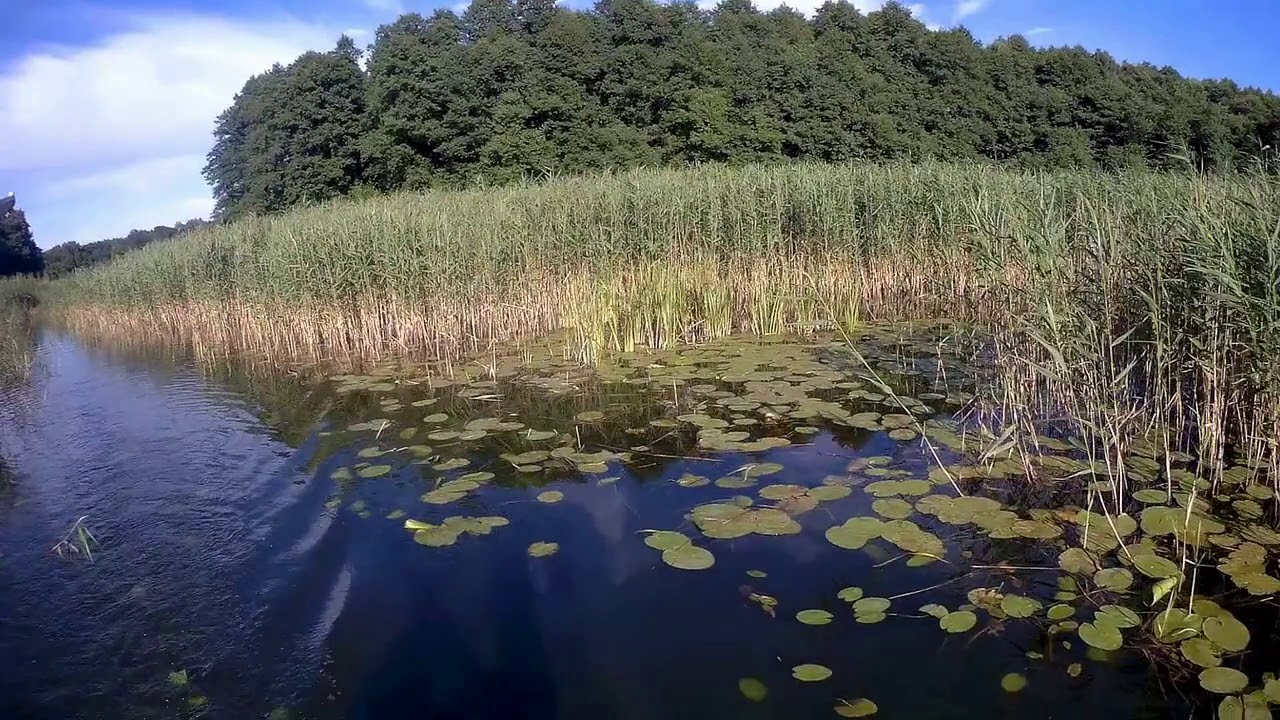 Mazury Spływ rzeką Sapiną Przerwanki - Ogonki 2020