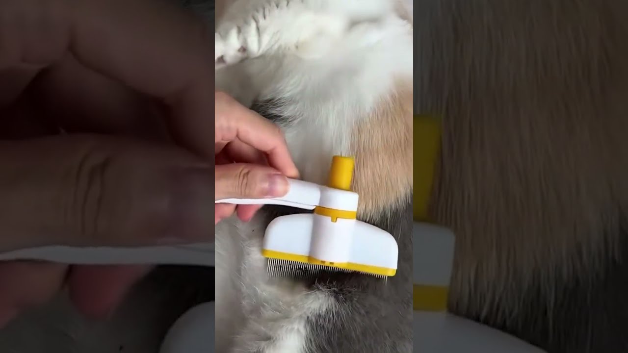 Self Cleaning Pet Grooming Brush &ndash; Easy Hair Removal for Dogs & Cats #petgrooming #dogbrush