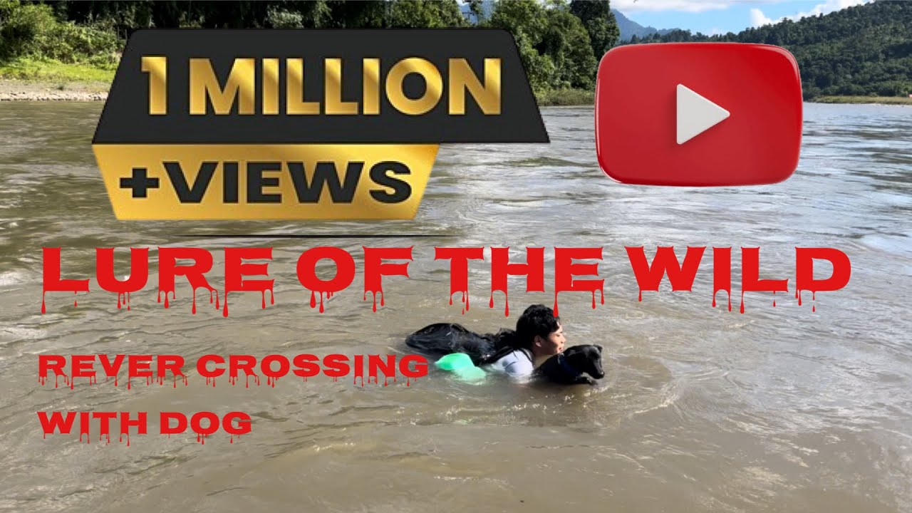 Dog & Man vs River Current 💪 | Jungle Island Adventure Story | river crossing ￼