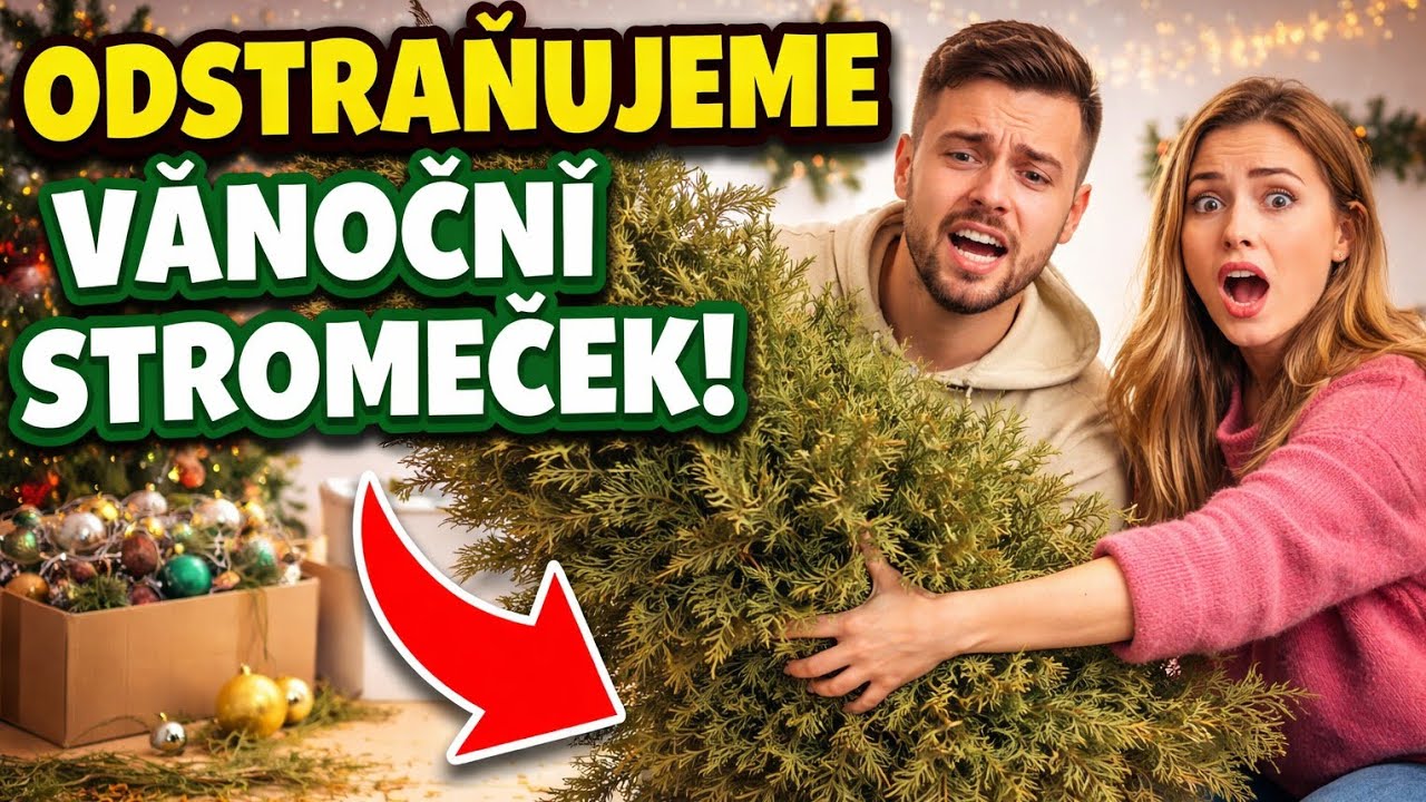 Odstraňujeme vánoční stromeček! Hodili jsme ho z okna?
