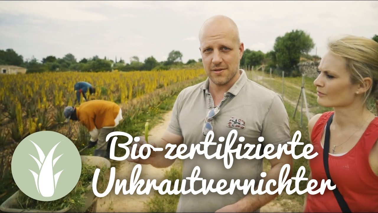 Unkrautvernichter - Bio Aloe Vera von der Aloe Vera de Mallorca Farm | als BIODALOE bei MIVITA