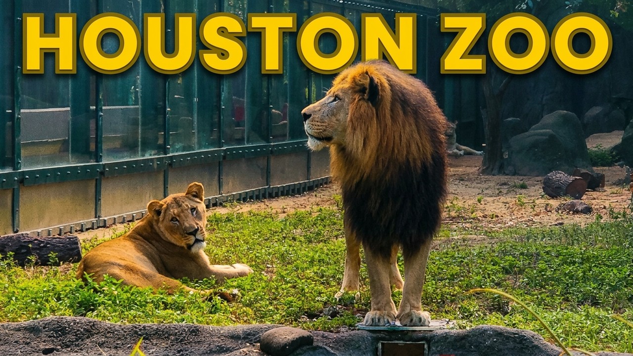 Exploring the BEST of Houston Zoo Texas ULTIMATE Full Tour