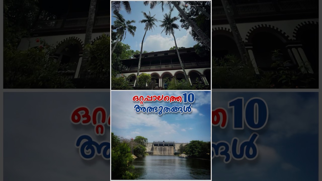 Best 10 spots in ottappalam😍 #travel #travelvlog #ottappalam #ananganmala #palakkad #reelsinstagram