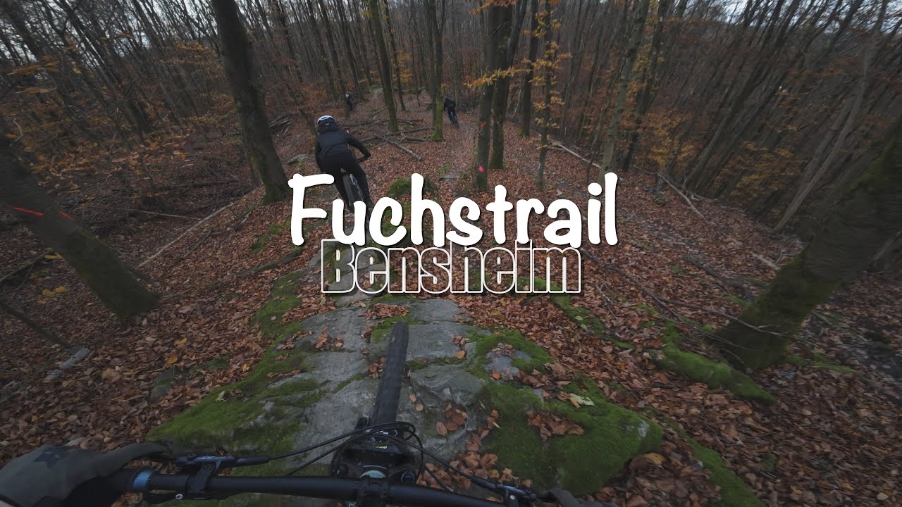 FUCHSTRAIL Bensheim - Orbea Laufey