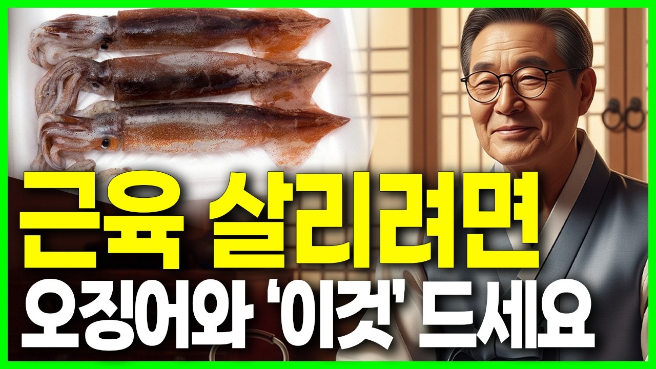 단백질 폭탄 오징어 이렇게 드시면 근육 살아나고 면역력 올라가요! 오징어의 효능과 부작용 건강정보