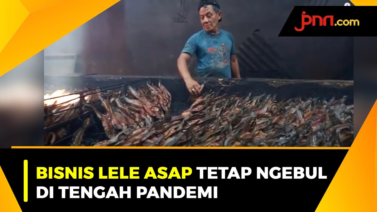 Omset Produsen Lele Asap Tak Goyah Meski Pandemi