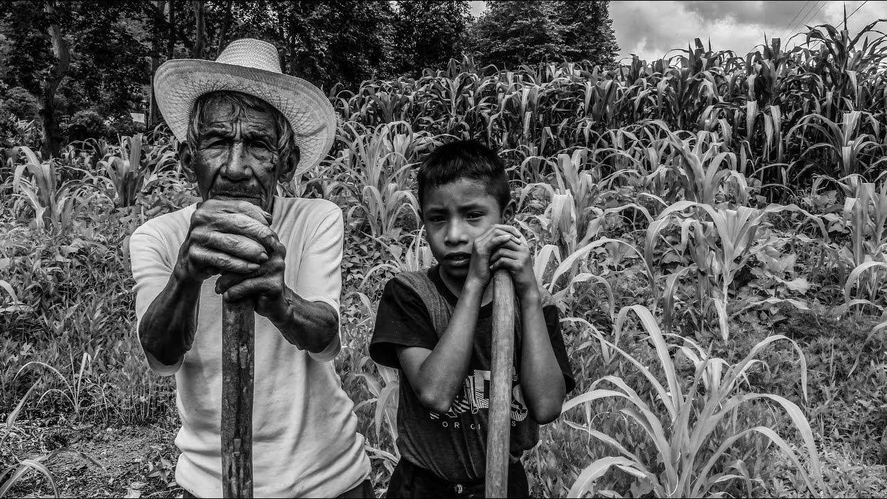 La Siembra- Eloxochitlán de Flores Magón Oaxaca