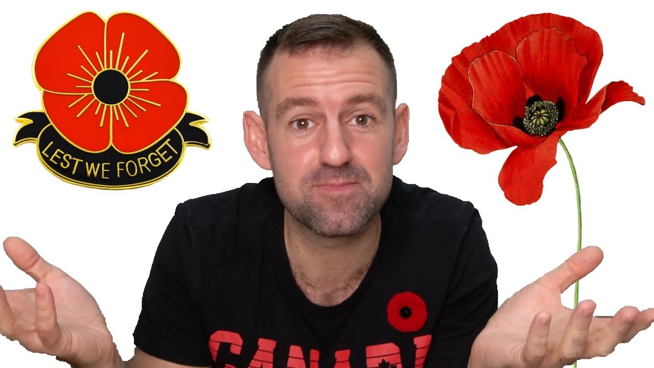 What is Remembrance Day?