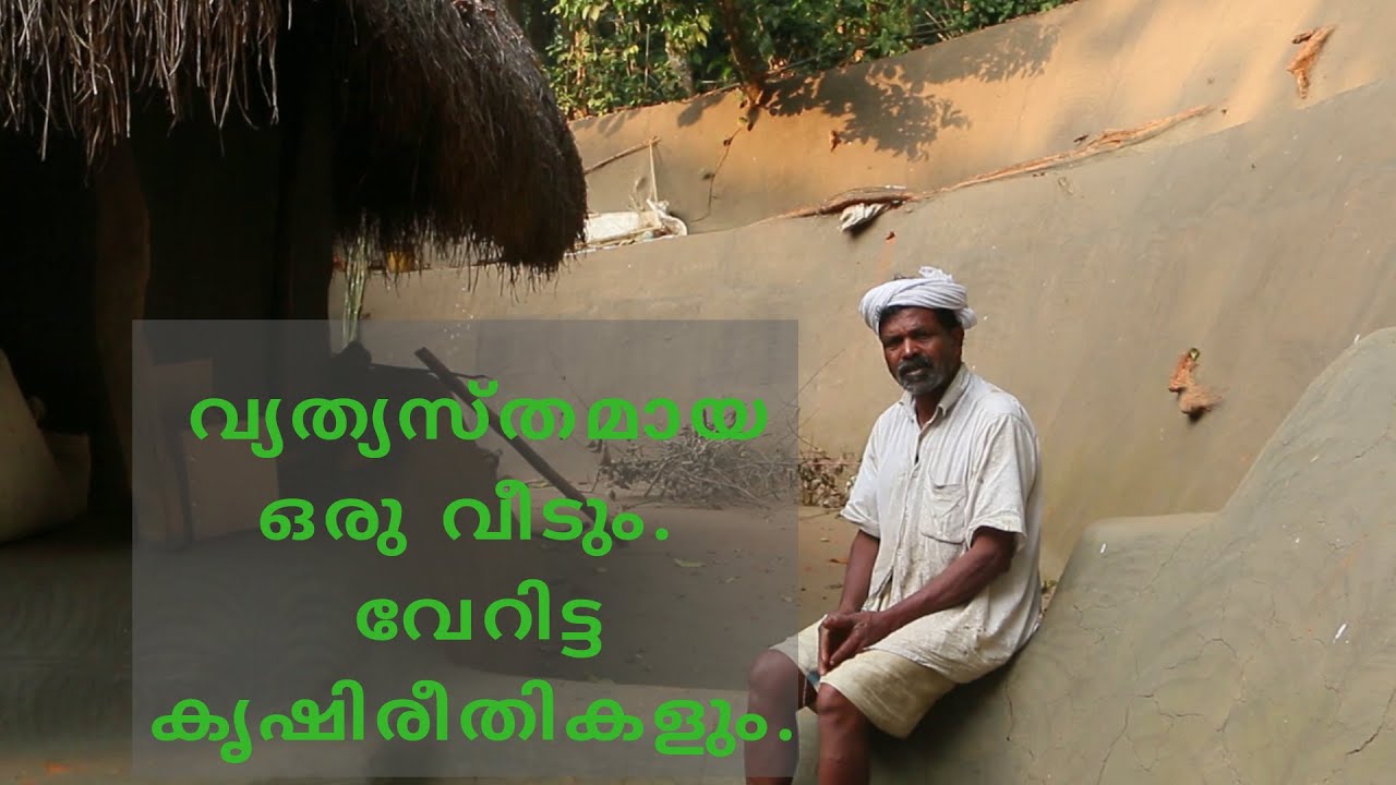 Documentary about Padma Shri Winner Cheruvayal Raman, Wayanad | Guardian of The Native Paddy