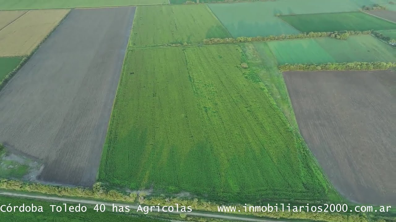 Córdoba Toledo 40 has Agricolas