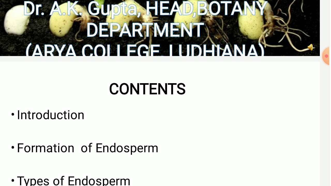 Endosperm-Types & Development
