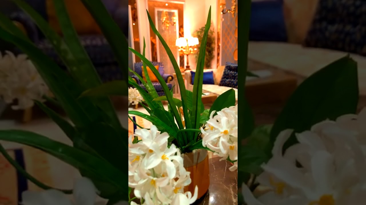 العلاقة بين الإخوان ( الجزء الثاني) أ/ زينب المطرودي