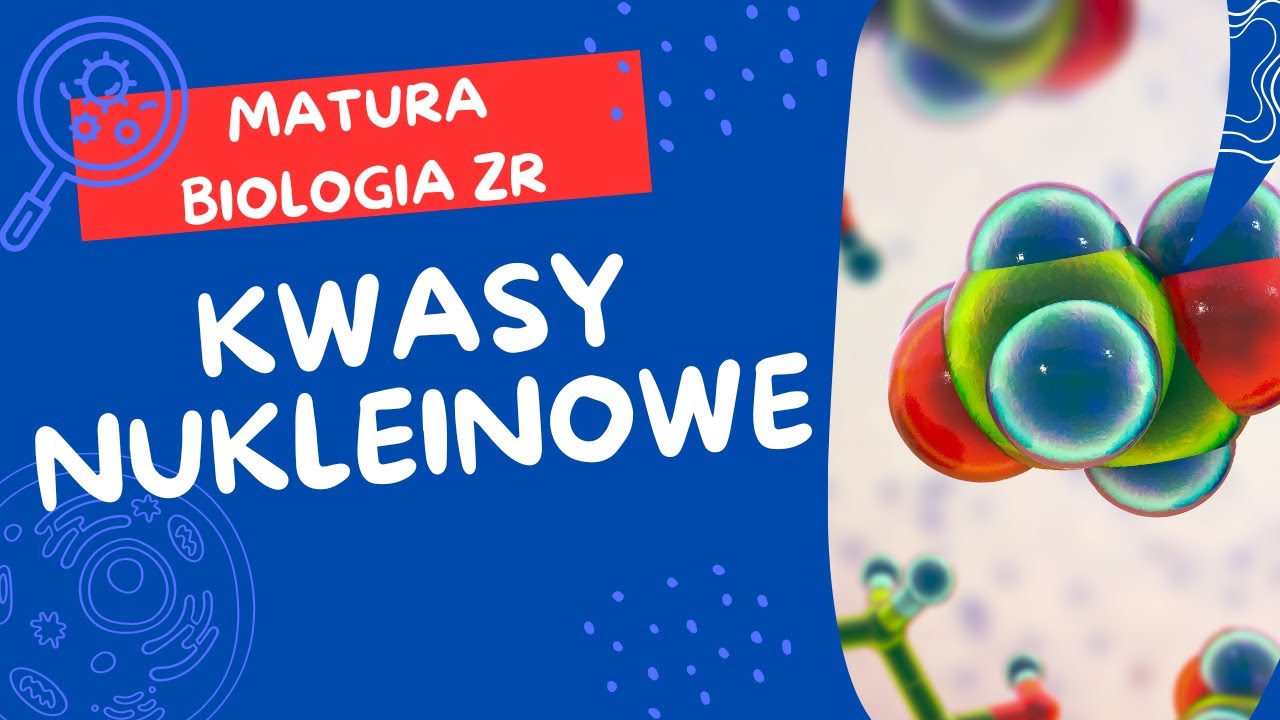 Kwasy nukleinowe. MATURA BIOLOGIA ZR
