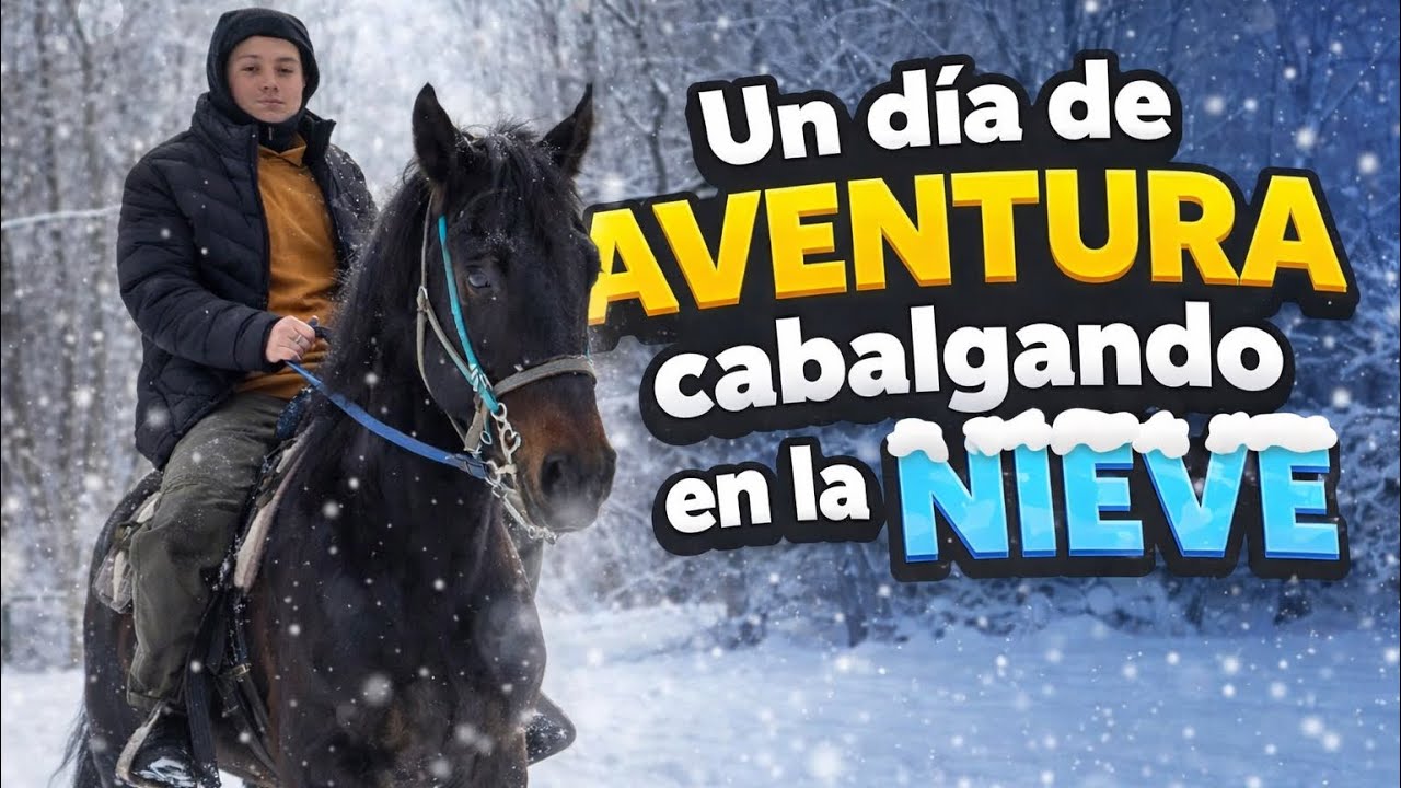UN DIA DE AVENTURA CABALGANDO EN LA NIEVE FT @lacaballito_official #adictoaloscaballos #horse 