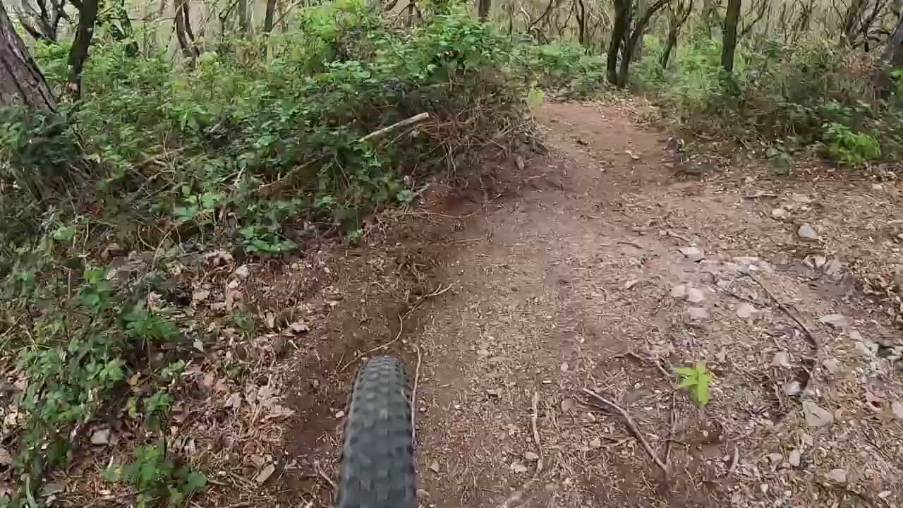 Hrdovická trail
