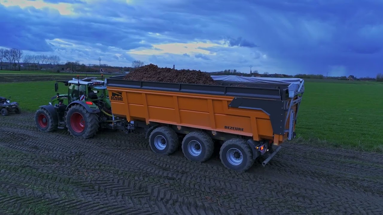 ||Carrot harvest 2024||wortelen oogst 2024||Dewulf Mega r3000||Dewulf r3060||Fendt & Dezeure||