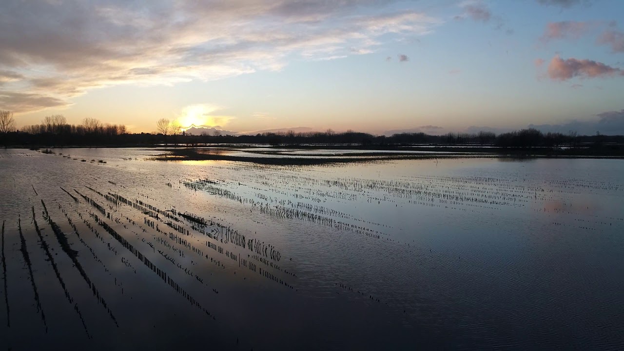 Inondations janvier/février 2018 - Saint-Malo - Marais de Dol de Bretagne - Commune du Mont-Dol
