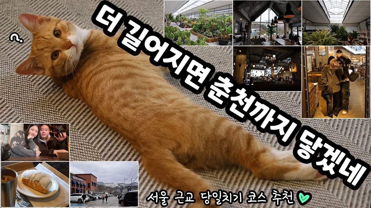아내랑 춘천 다녀왔습니다.