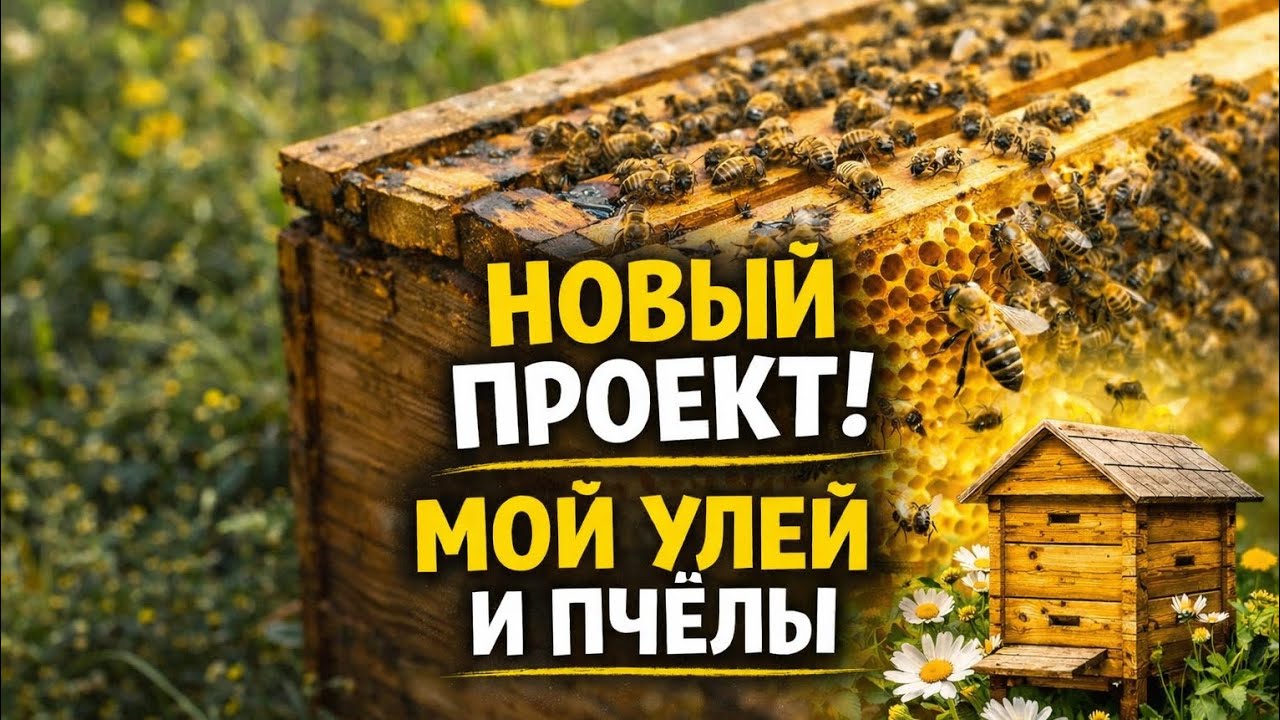 «ПЧЁЛЫ. НАЧАЛО ПРОЕКТА» 