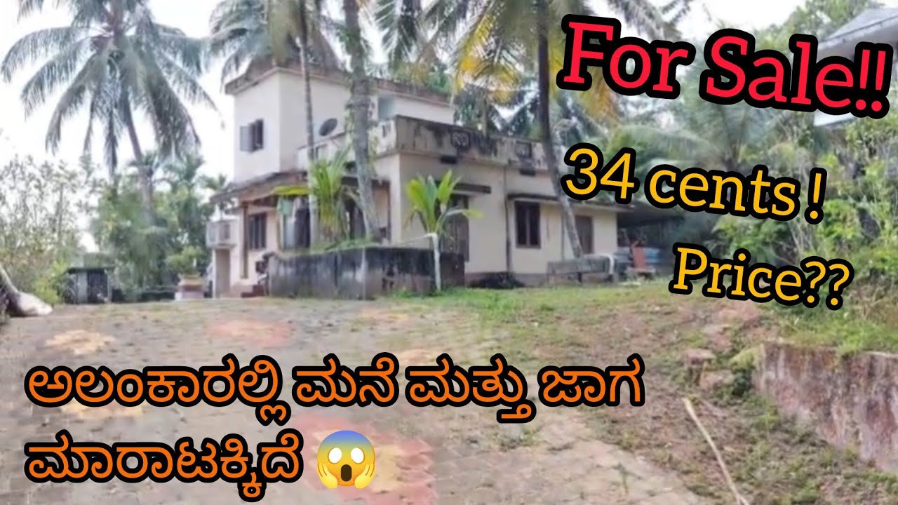 House & Land for Sale in Alankar😨| ಮನೆ ಮತ್ತು ಜಾಗ ಮಾರಾಟಕ್ಕಿದೆ 🤯 #youtube #viral #sale #video #home 