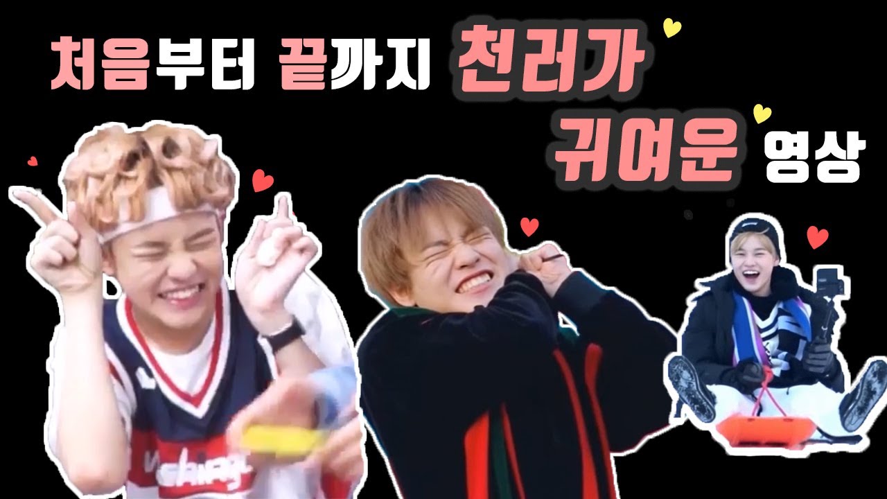 처음부터 끝까지 천러가 귀여운 영상