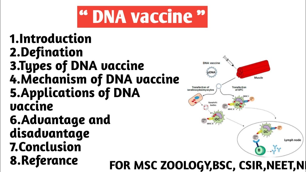 DNA vaccine | Types | Mechanism | Application | Advantage and Disadvantage