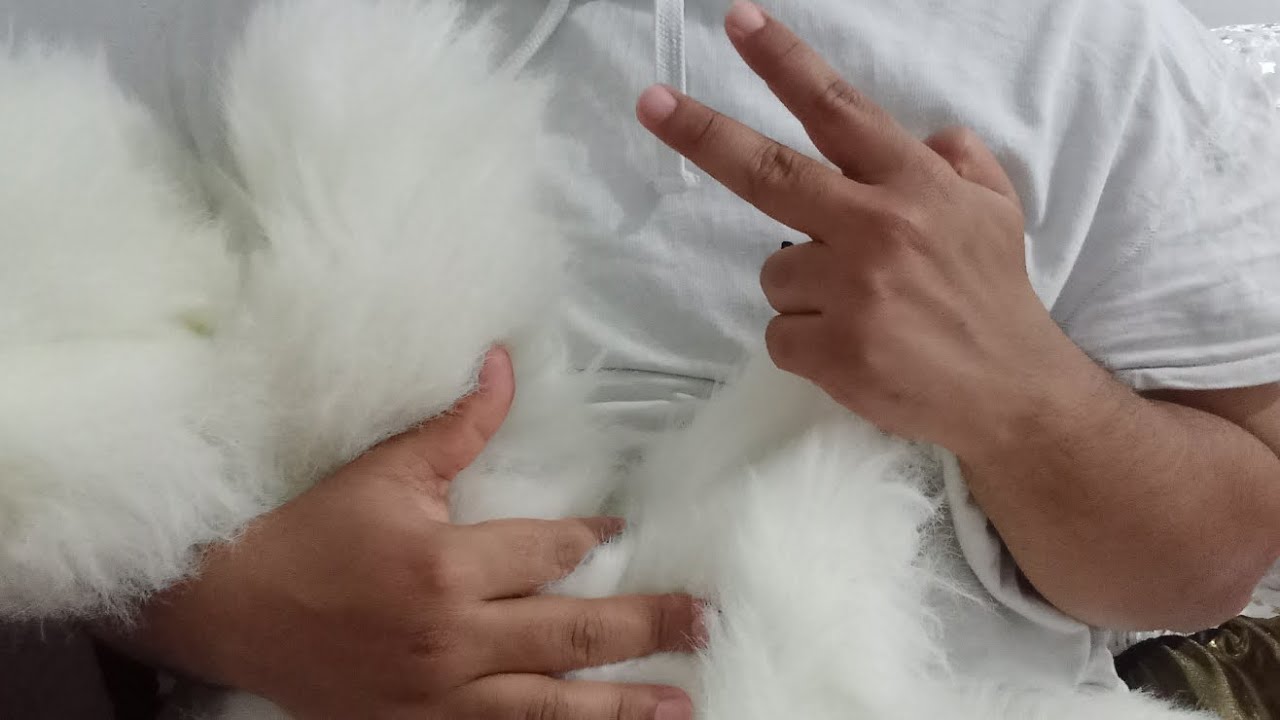 تحليل طاقة الفترة دي 212617637421+ واتساب رساءل فقط