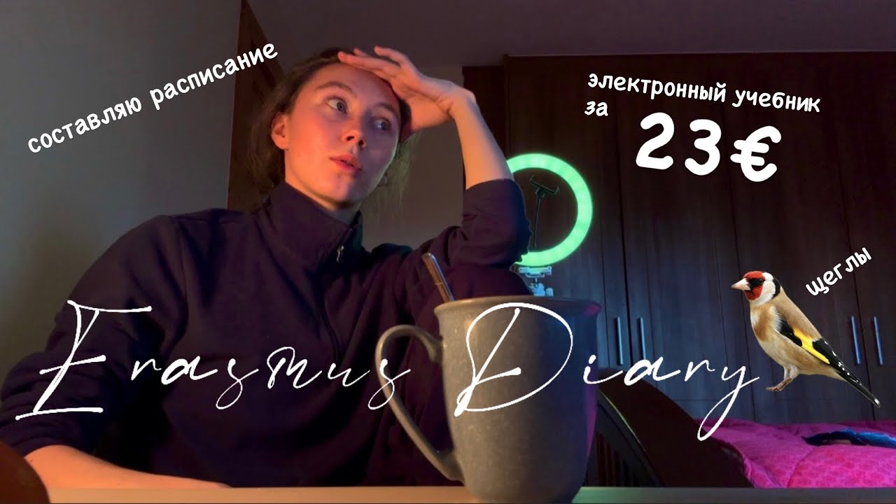 ERASMUS DIARY | Day IV разбираюсь с расписанием, необычные птицы, банковские выходные и манка