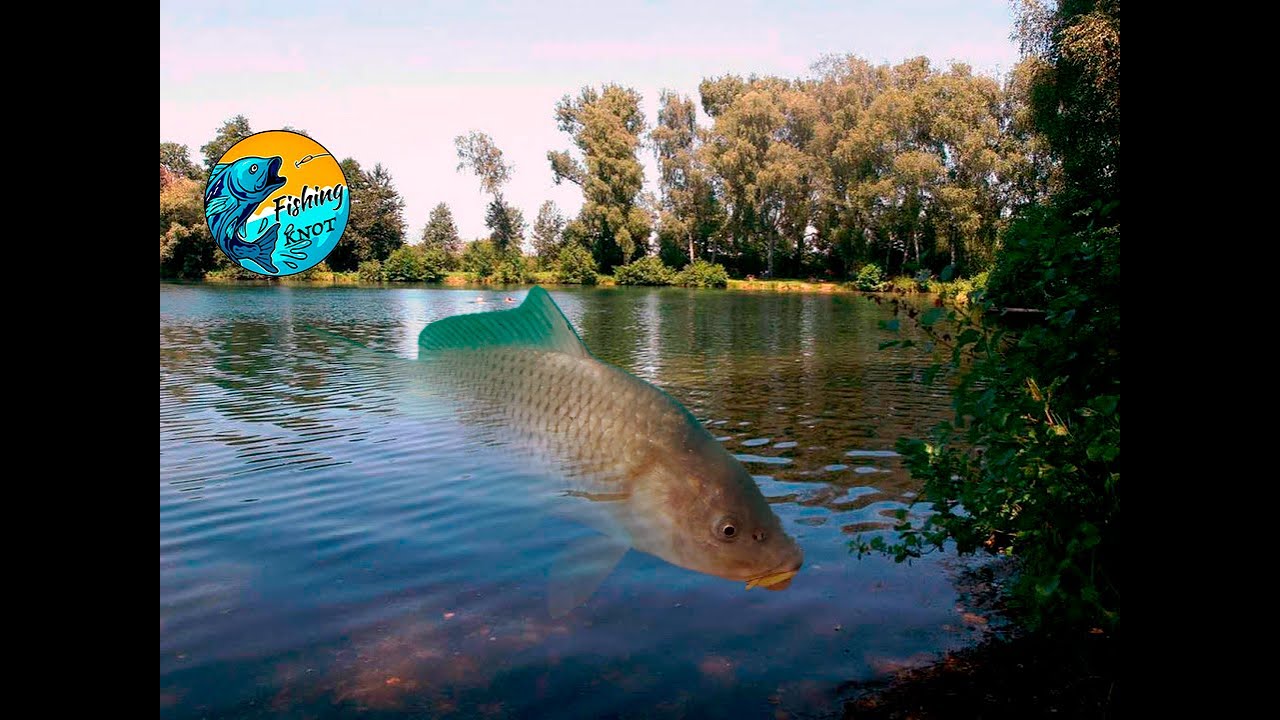 Secretul sa prindeti peste mult !!